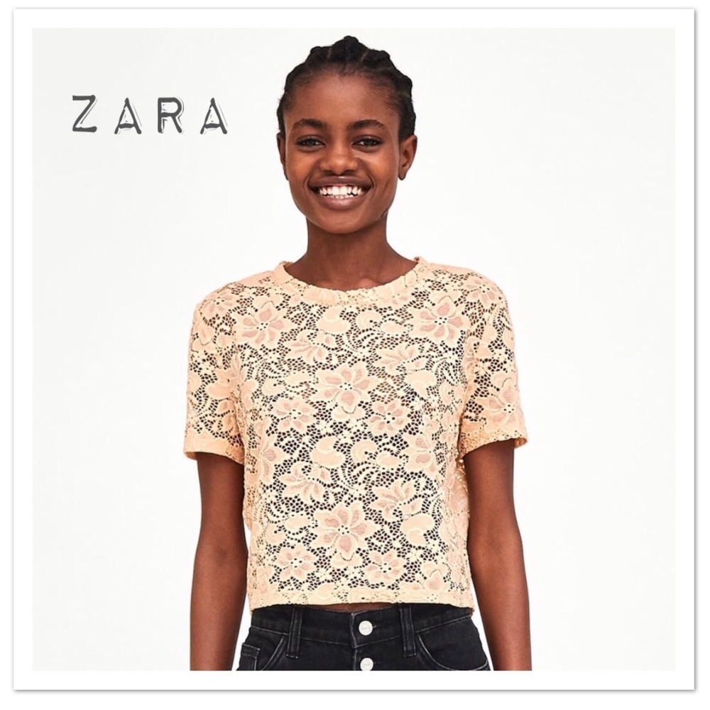 Zara Cropped Short Sleeve Lace Top - NWT